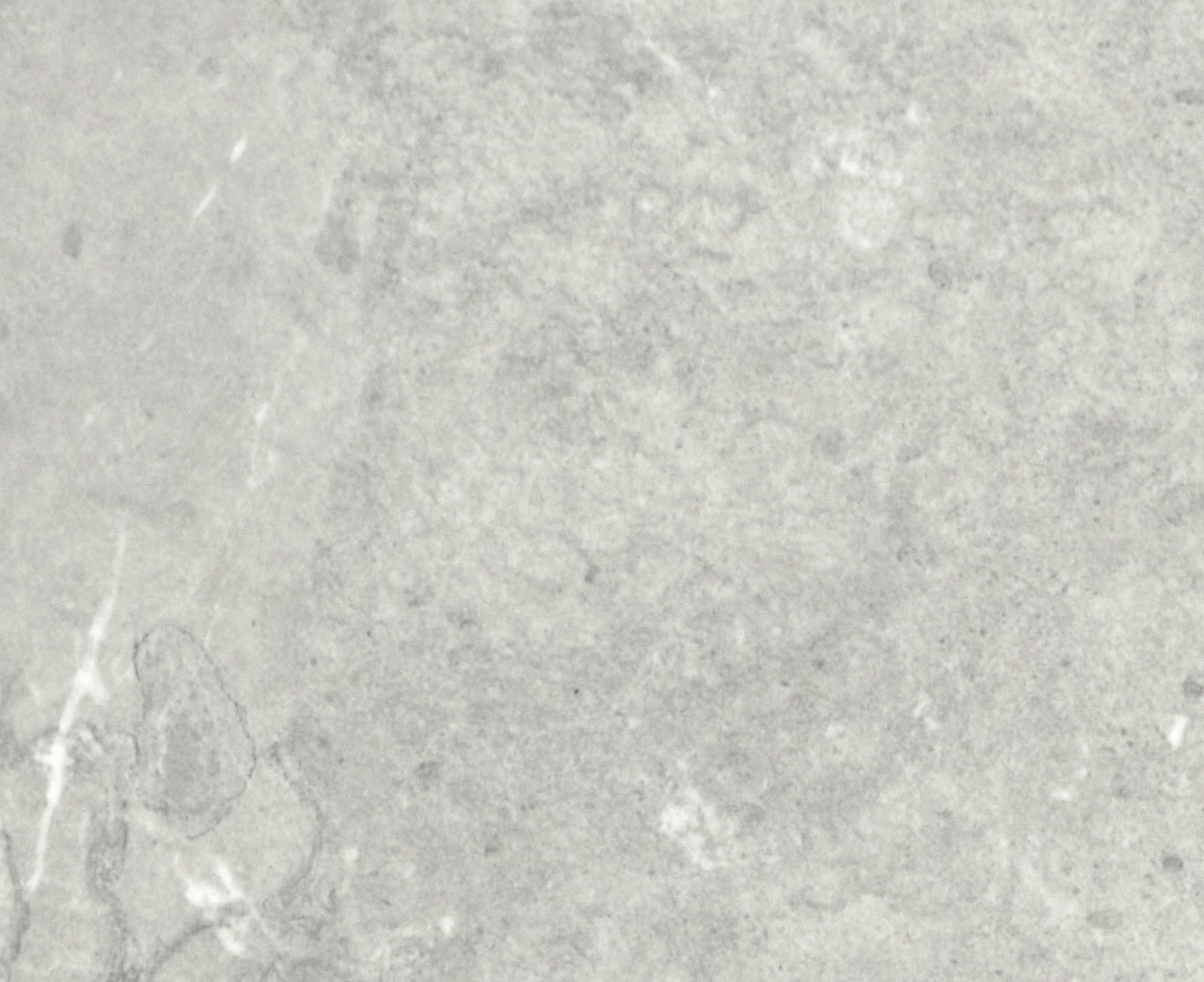 Forisca Grafito - Velour - Benchtops - Formica Laminate (HPL) | Laminex AU