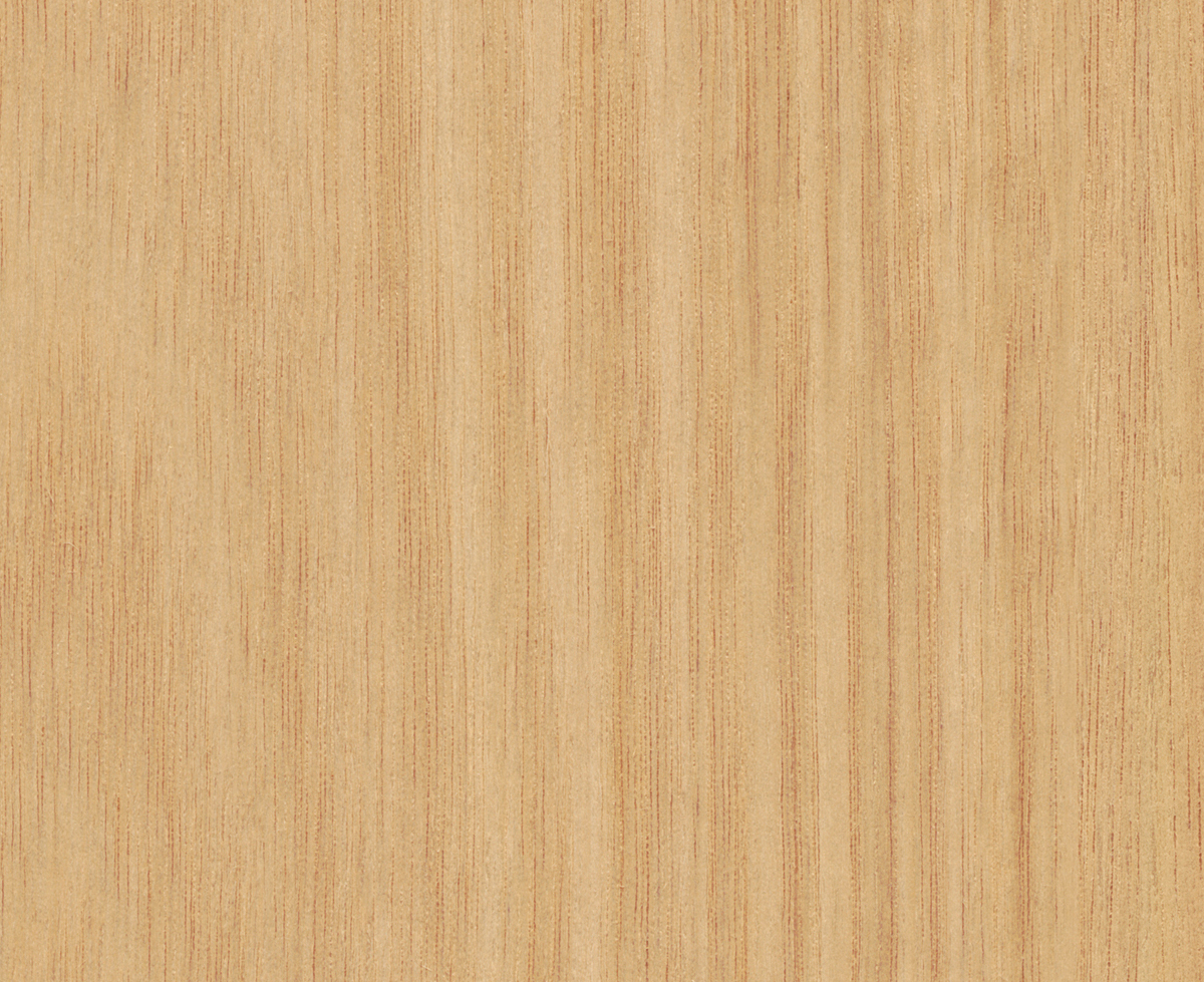 Tasmanian Oak Truescale - Tasmanian Oak TrueScale - AbsoluteGrain ...