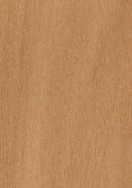 Blackbutt Truescale