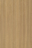 Sublime Teak