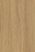 Elegant Oak