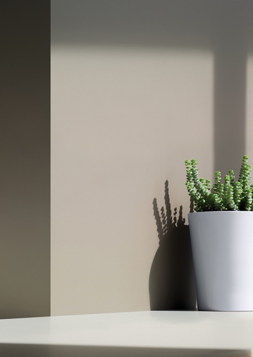 AbsoluteMatte-Surf-Vertical-459x648