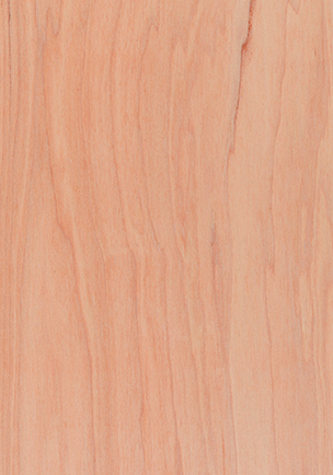 BBB-TE-Bending-Plywood-304x434