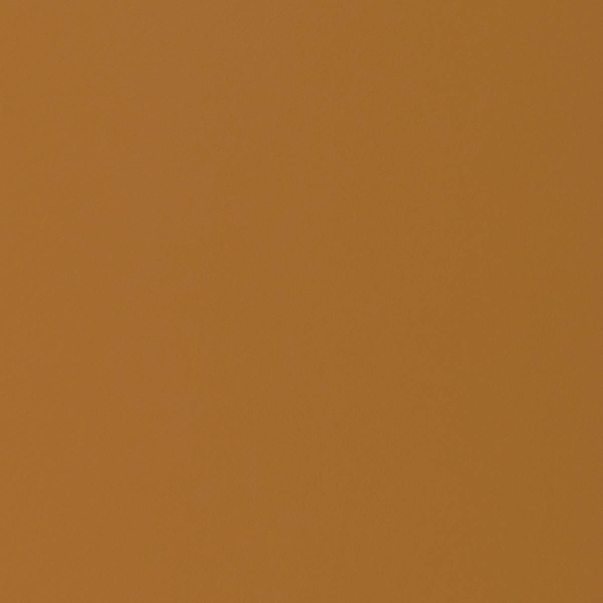 Burnt_Ochre_1200x1200