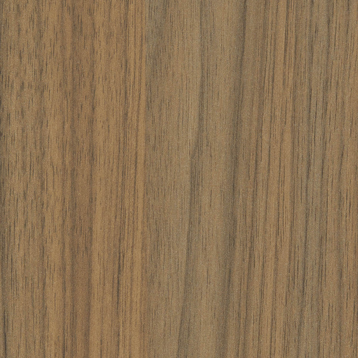 Danish_Walnut_Natural_1200x1200