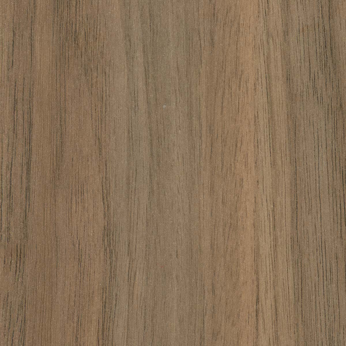 Laminex Natural Walnut Colour Collection | Laminex Australia