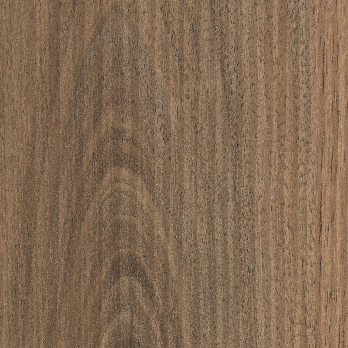 Natural Walnut - Carbide - Benchtops | Laminex AU