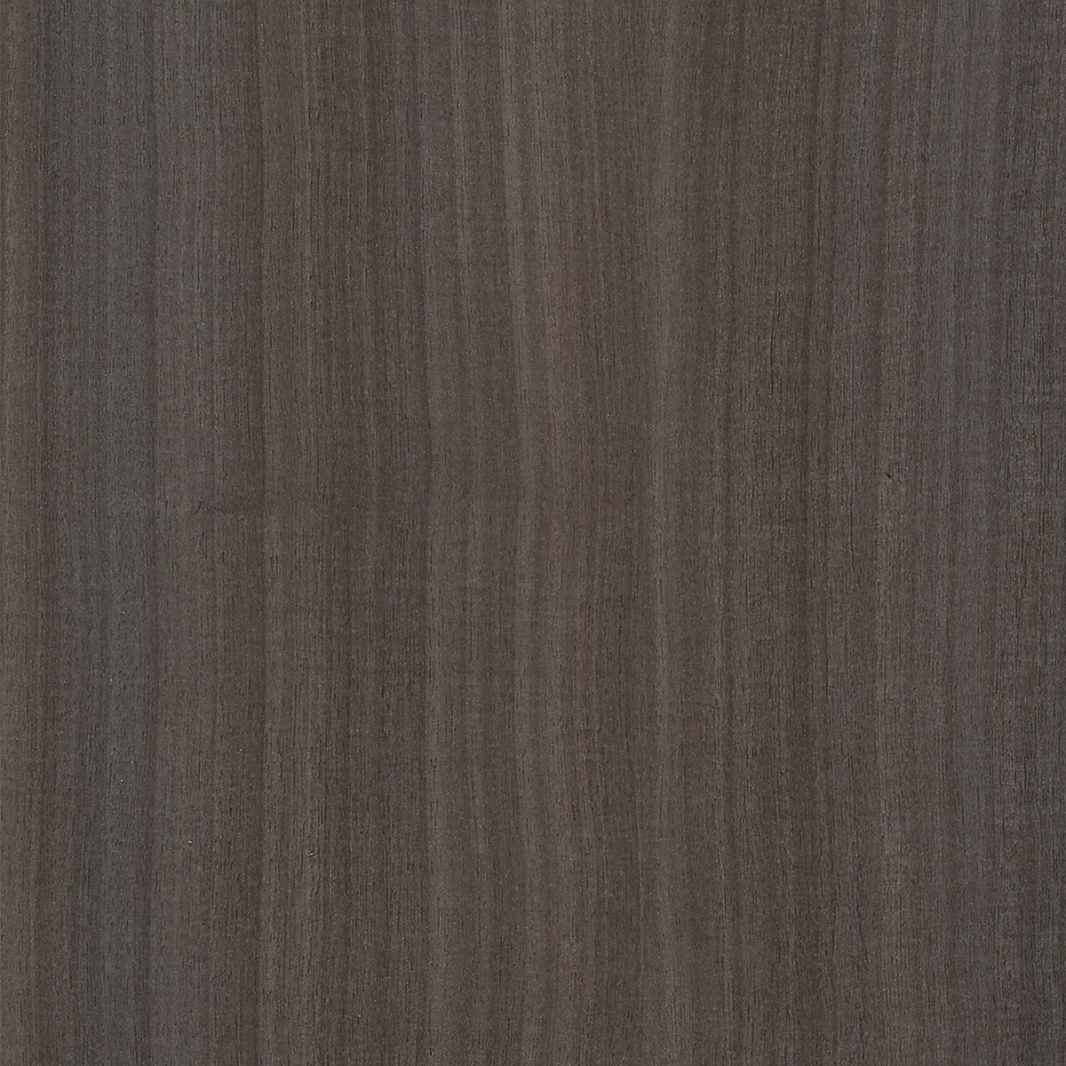 LX-Smoky-Sapelle-2021-1200x1200