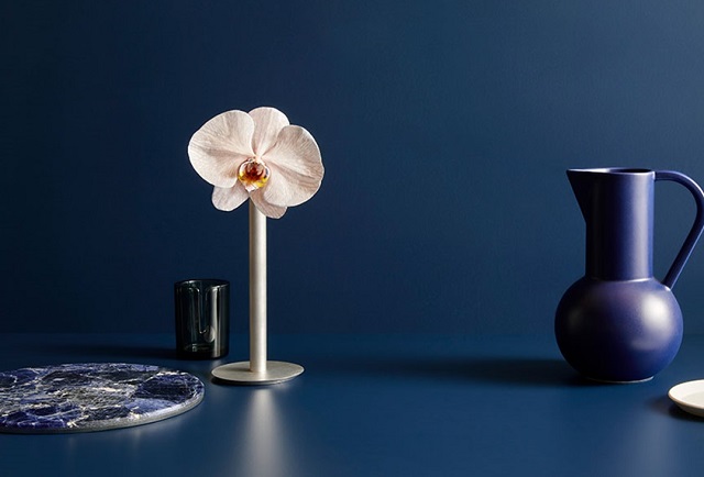 Laminex-French-Navy-Dulux-Pacific-Line-640x434