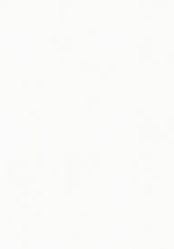 Essastone White Concrete