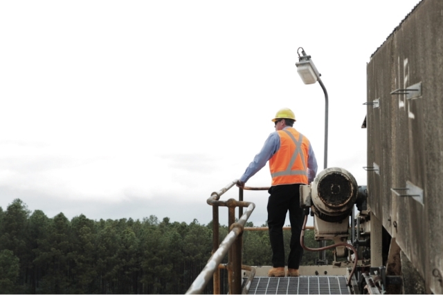 Environmental and Social Impact