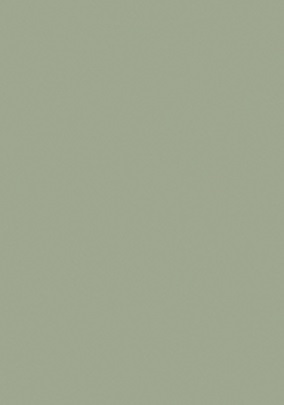 Swatch-Bayleaf-192x274.jpg