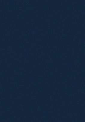 Swatch-French-Navy-192x274.jpg