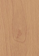 Euro Beech