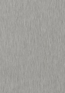 Brushed Pewter
