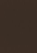Mocha