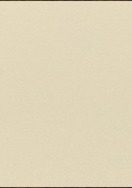Prairie Beige