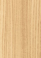 Tasmanian Ash