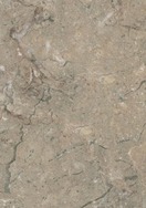 Tuscan Marble