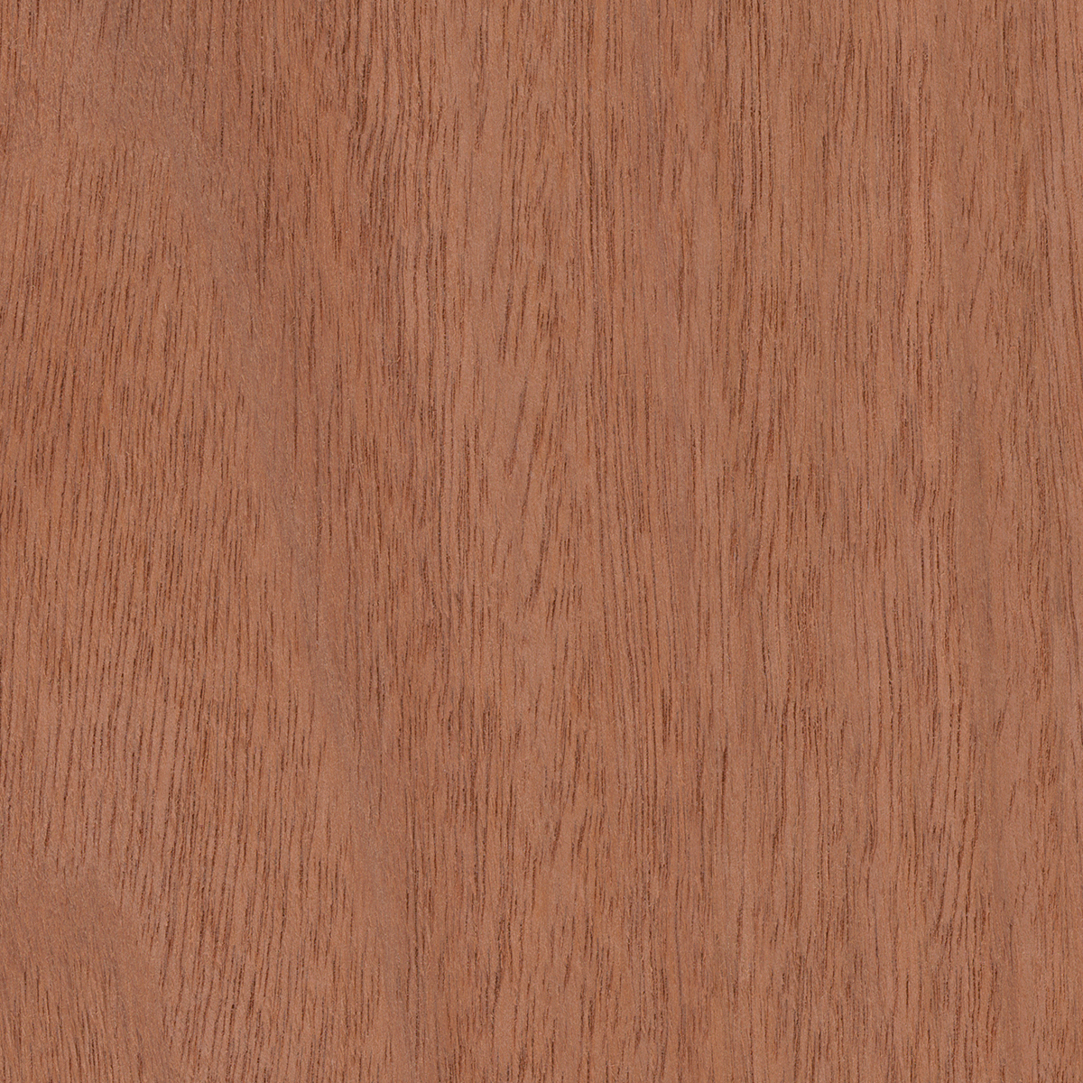 Light Jarrah Truescale - Light Jarrah TrueScale - Natural - Benchtops ...