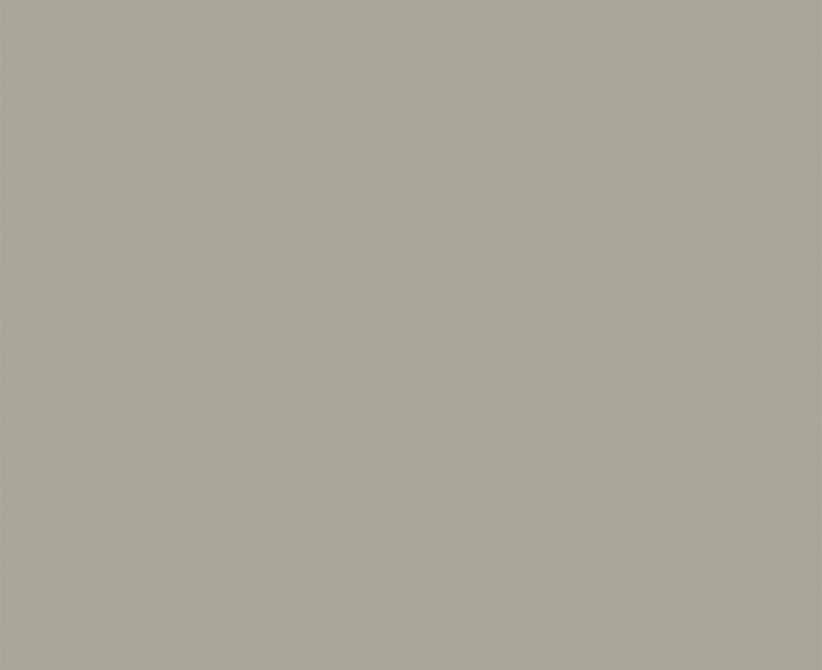 Baye Color Baye - Natural - Benchtops - Laminex Decorated MDF | Laminex AU