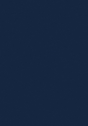 p-LX-ColourCollection-French-Navy-RGB-304x434