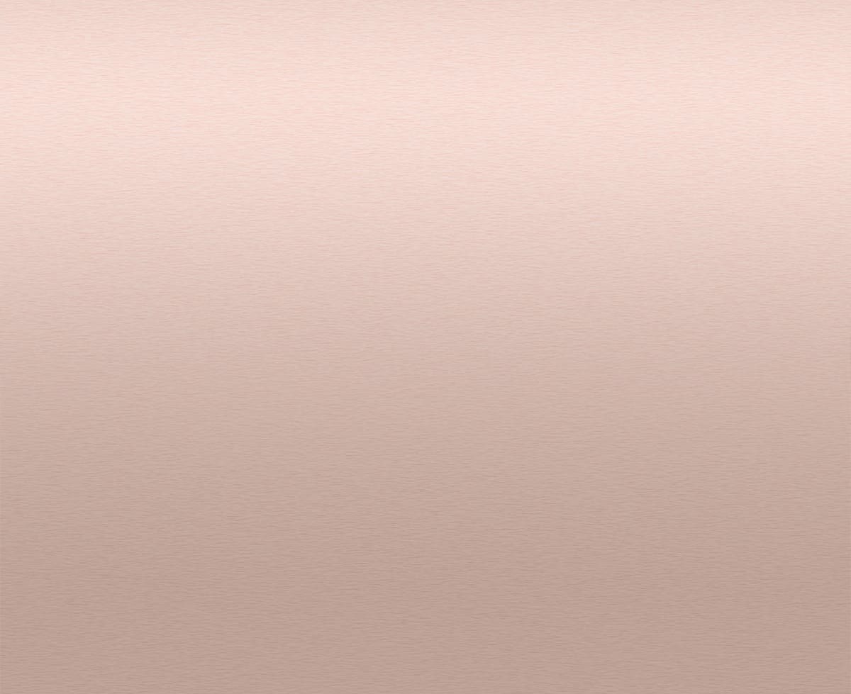 6. 2024 Nail Color: Rose Gold Metallic - wide 5