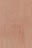 Plywood