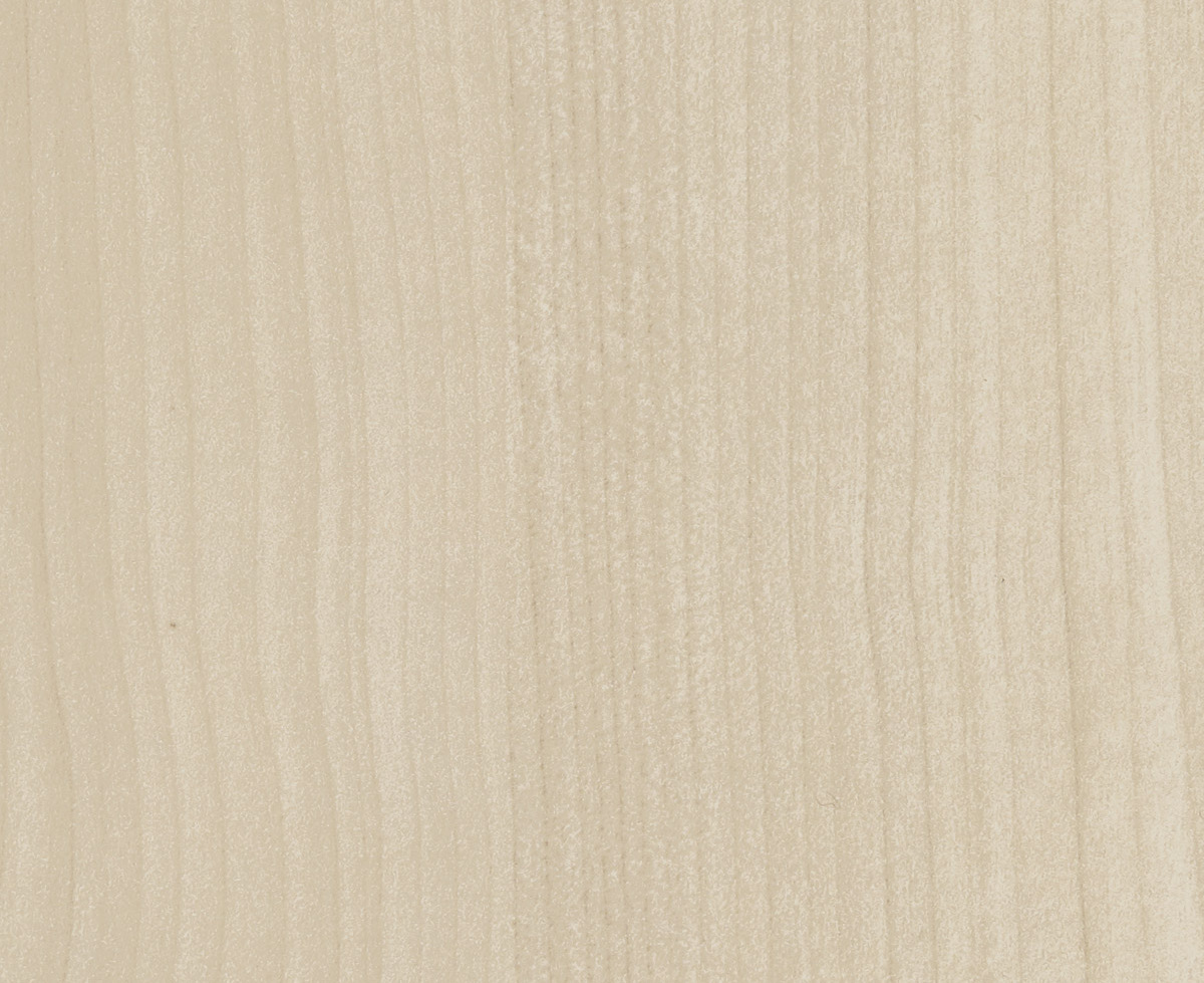 Sandy Birch