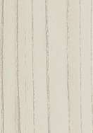 Snow Elm