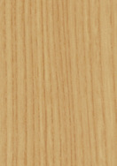 Tasmanian Ash