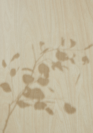 Trends Meet Our New Landscapes Series Page Media 6