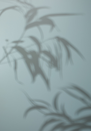 Trends Meet Our New Landscapes Series Page Media 7